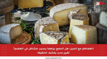 الطماطم مع الجبن: هل الجمع بينهما يسبب مشاكل في الهضم؟ تقرير جديد يكشف الحقيقة